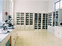 Centro experimental